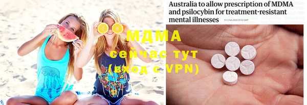 индика Саяногорск